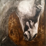 Mr Etalon - 60 x 60 cm - 2017 - ANIMAUX