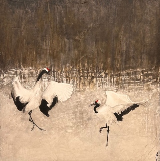 Danse nuptiale - 2025 - 50 x 50 cm - ANIMAUX